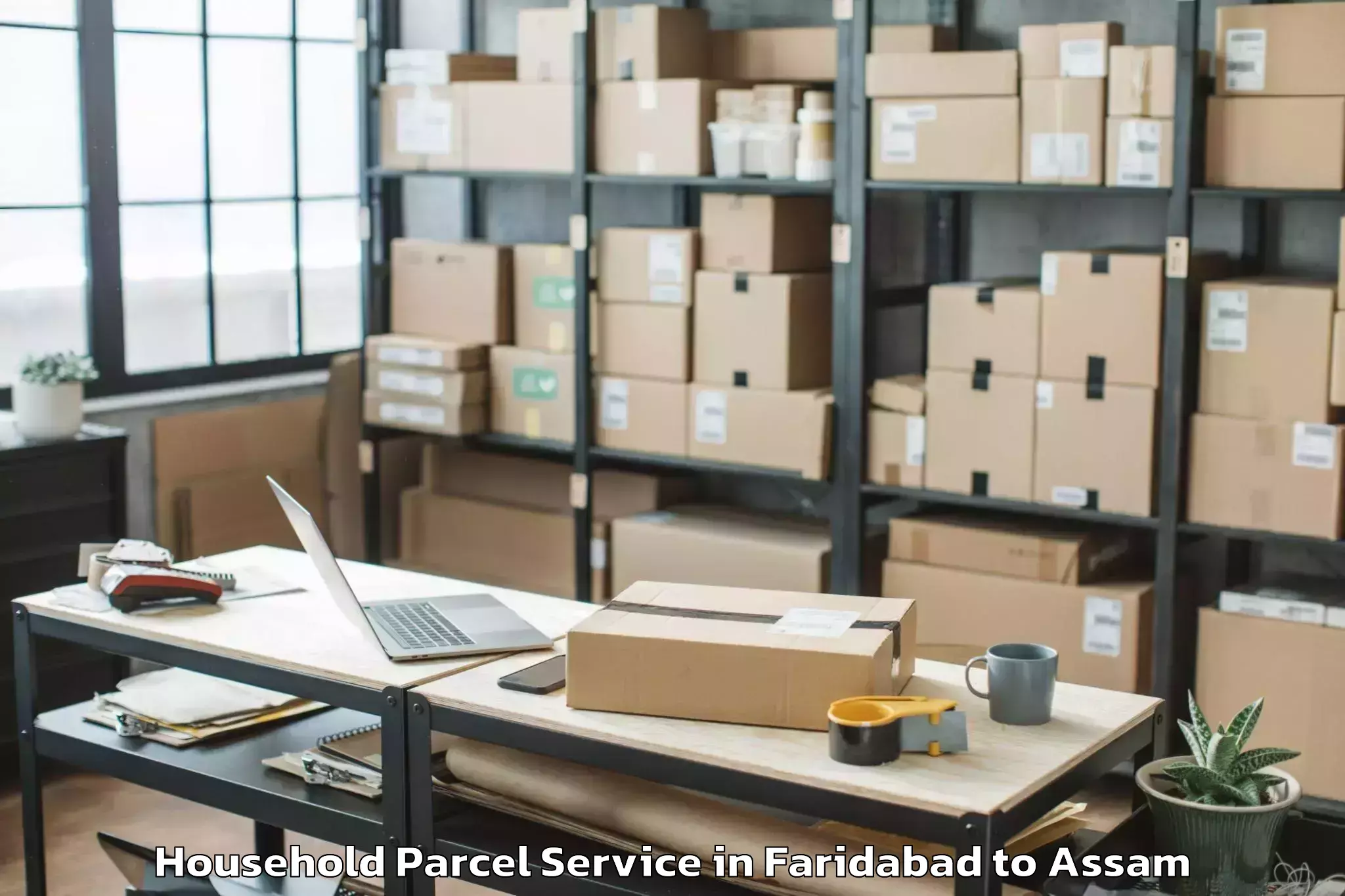 Easy Faridabad to Biswanath Charali Household Parcel Booking